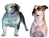 2dogs.gif (3933 bytes)